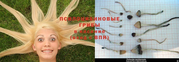 альфа пвп Лихославль