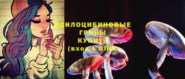 кокаин перу Ладушкин