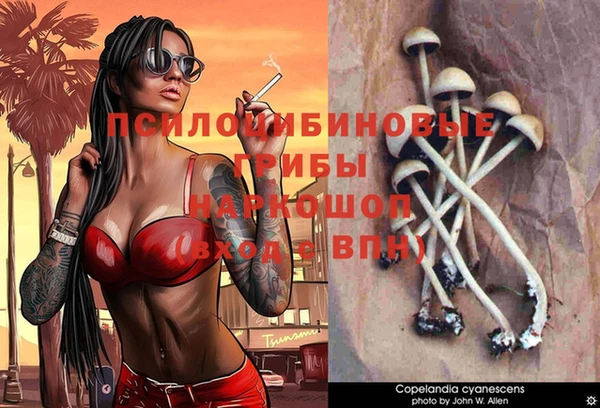 гашик Лагань