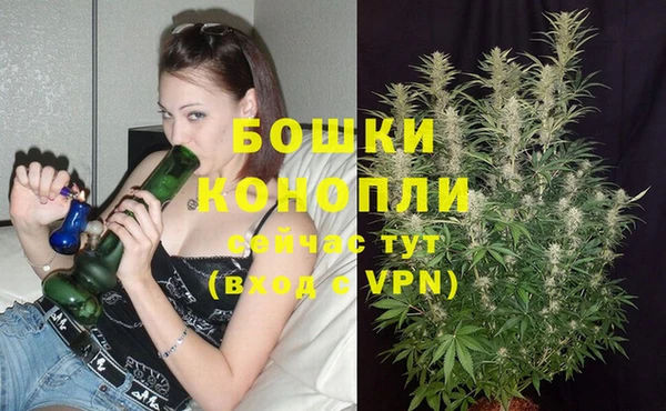 шишки Красноперекопск