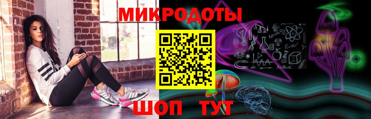 Галлюциногенные грибы Psilocybe Ливны